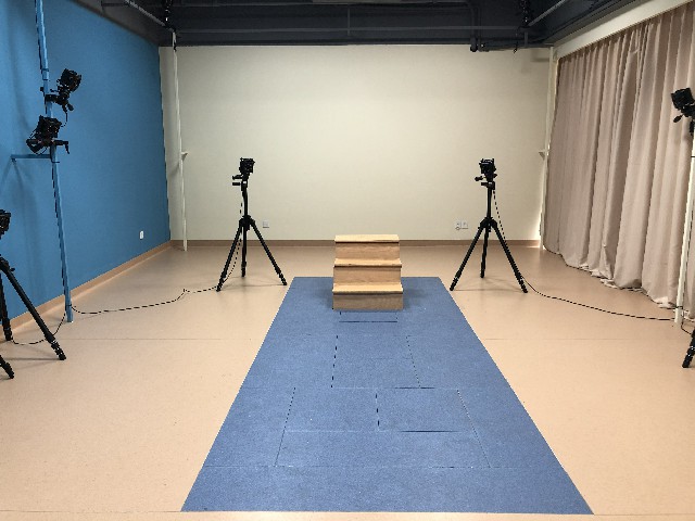 motion capture camera arrangement