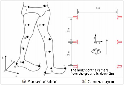 Schematic diagram of marker and motion capture lens arrangement at the experimental site
