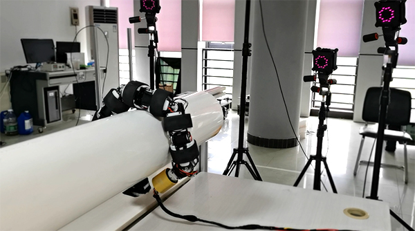capture the joint motion of snake-like robot