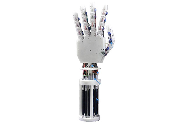 the dexterous robot hand
