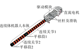 structure of the wire-driven continuum robot 