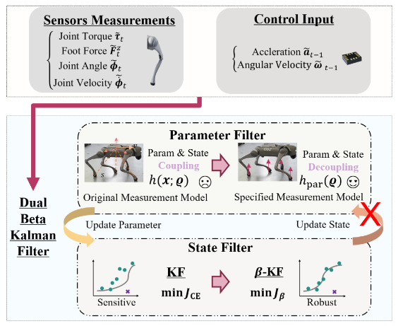 Figure 1:Framework overview of the Dual β-K. Proprioceptive sensor data are input to the Dual β-KF, where a state-independent parameter filter first estimates the leg length parameters. These estimates are then used by a robust state filter to determine the robot’s state. 