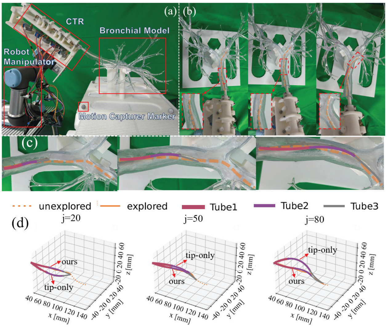 Optical motion capture setup for concentric tube robot trajectory validation using a bronchial phantom