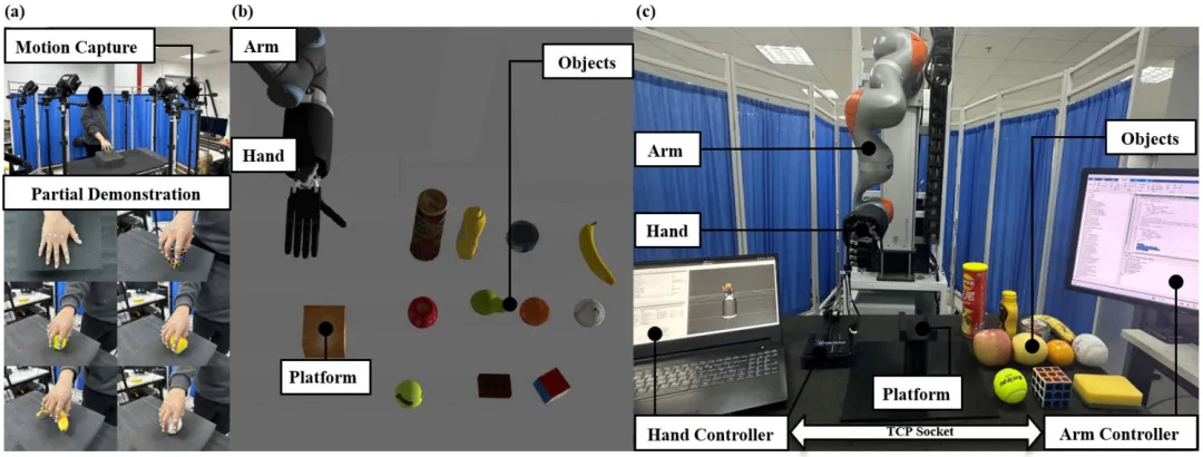 Experimental setup for human grasping motion capture and humanoid five-digit robotic grasping in simulation and real-world environments