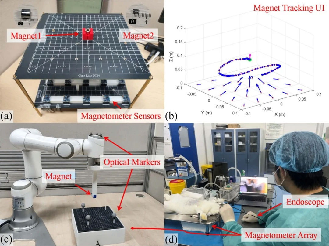 Experimental setup for capsule endoscopy magnetic localization with magnetic sensors and a magnetic target