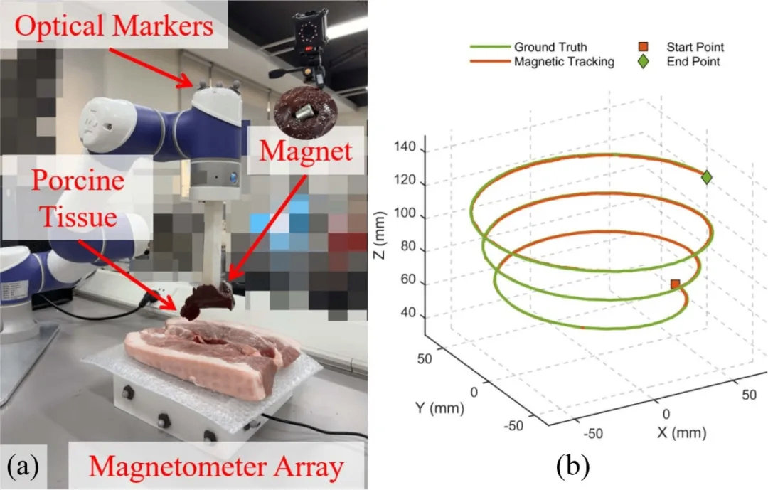 Quantitative ex vivo tracking performance of capsule endoscopy magnetic localization with NOKOV optical reference data