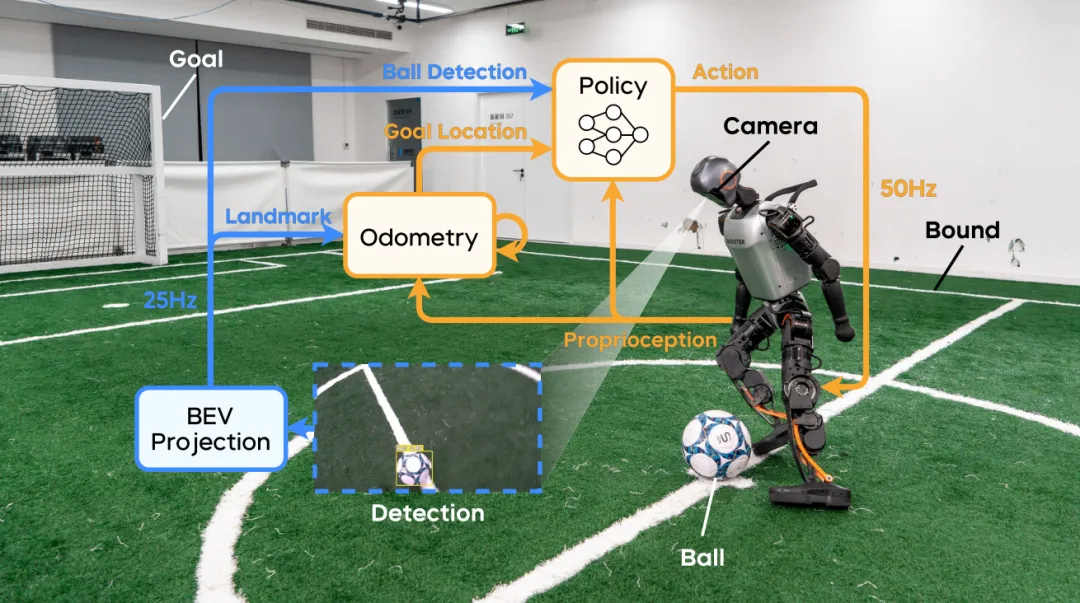 Vision-driven humanoid soccer system overview: onboard cameras capture visual information of the ball and field, which is converted into bird's-eye-view (BEV) inputs for the reinforcement learning policy
