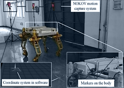 Tracking the TAWL at the NOKOV motion capture test site