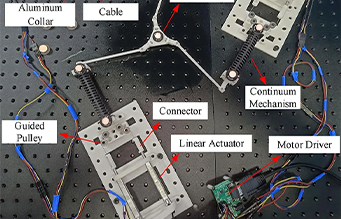 Transformer-based segmented learning for kinematics modelling of a cable driven parallel continuum robot