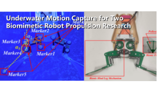 Underwater Motion Capture for Biomimetic Robot Propulsion Research | NOKOV Mocap Case Study