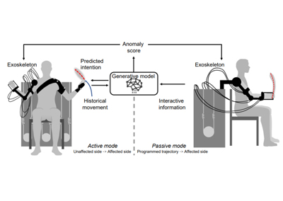 IJRR | Upper-limb rehabilitation with a dual-mode individualized exoskeleton robot: A generative-model-based solution