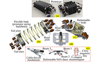 Kinetostatic Modeling of a Continuum Climbing Robot for Nuclear Inspection