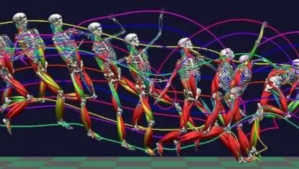 BoB Biomechanics