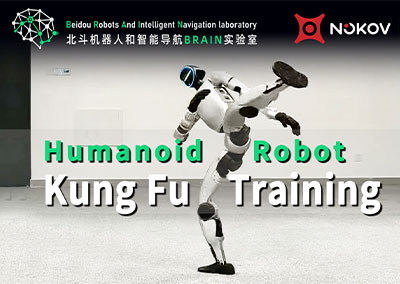 Humanoid Robot Kung Fu Training