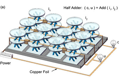 3D-printed chiral-based systems with reprogrammable stiffness for mechanical logics via inter-unit interactions